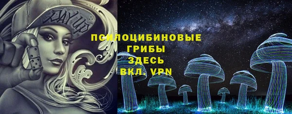 хмурый Лиски