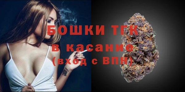 хмурый Лиски